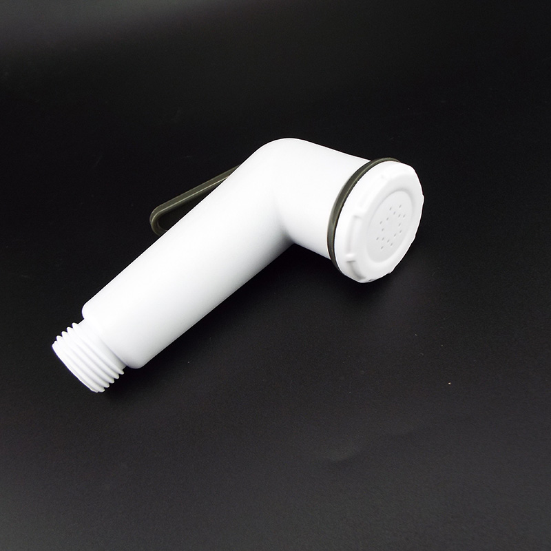 White Plastic Toilet Bidet Spr - Home Bathroom With Two Toilets avis et prix